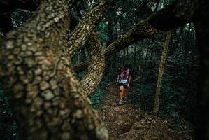 BIB: 
                            <button type="button" onclick="openModal(25696294)" class="btn btn-primary btn-sm float-right btn-popup" data-toggle="modal" data-target=".modal-high-quality">
                        <i class="fas fa-shopping-cart"></i> Add to Cart
                    </button>
                                            <button type="button" onclick="isThisMe(25696294, true)" class="btn btn-success btn-sm float-right btn-popup btn-isme hidden" data-toggle="tooltip" data-placement="bottom" title="นี่คือรูปของคุณใช่ไหม คลิกที่นี่เพื่อเอาเข้าอัลบั้ม">
                        <i class="fas fa-plus"></i> Add to album
                    </button>
                    <button type="button" onclick="isThisMe(25696294, false)" class="btn btn-warning btn-sm float-right btn-popup btn-isnotme hidden">
                        <i class="fas fa-ban"></i> Remove from album
                    </button>